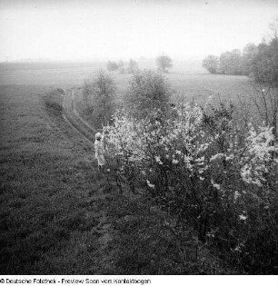 Frühling; Saupsdorf; Trebnitztal mit König und Margot; Kleiner Bärenstein