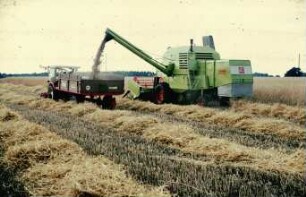 Fotografie: Erntetechnik, Mähdrescher selbstfahrend, Korntank, Be- und Entladen