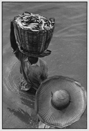 Alappuzha. Transport von Körben mit Fischen
