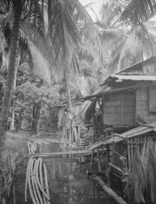 Ansiedlung am Nordufer des Laguna de Bay : Pfahlhäuser