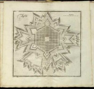 Fig. 175.