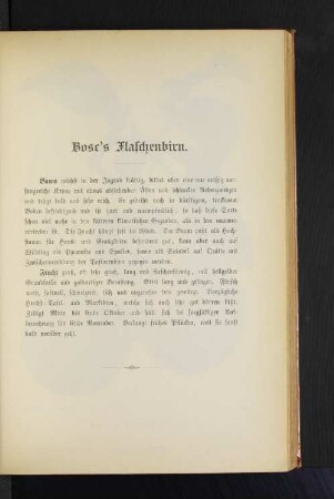 Bosc's Flaschenbirn.