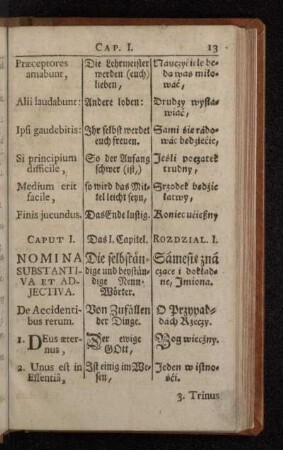 Caput I. Nomina Substantiva Et Adjectiva.