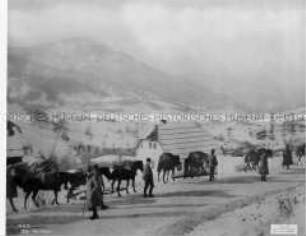 Ein Österreichischer Munitions- und Provianttransport in Montenegro