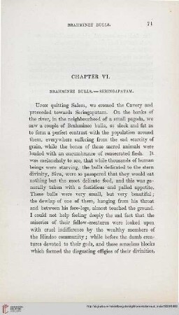 Chapter VI: Brahminee Bulls – Seringapatam