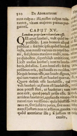 310-315, Caput XV
