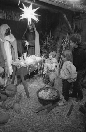 Weihnachtskrippe mit lebenden Tieren im Karlsruher Zoo
