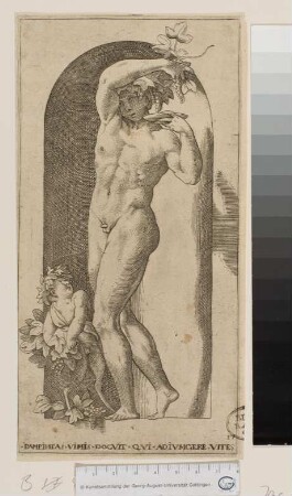 Bacchus