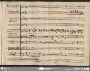 Einlage Cavatina (Anonymus): "La meschina nel mio seno"