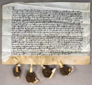 [Text = 1422 September 9]. Mit Eid besagt vor Schultheiß Peter und den Richtern Johan Leheimer, Johan Foltze und Johan Molsberg. "Publicatum anno prenotato sabbato proximo post diem sancti Dyonisii."