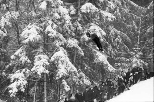 Hinterzarten: Springer