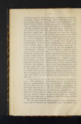 Glänzender Aufstieg des Cinchonabaues in Java.