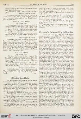 2: Krankhafte Schamgefühle in Amerika