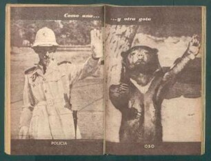 Como una ... y otra gota - [Fotografías]