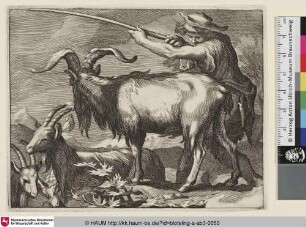 [Ziegenhirte mit seiner Herde; Goats and Goatherd]