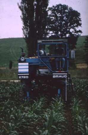 Fotografie: Weinbau, Traktor, Trägerfahrzeug, Pflanzenschutz, Feldspritze angebaut, Mais