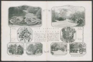Los jardines de Montevideo