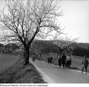 Frühling; Saupsdorf; Trebnitztal mit König und Margot; Kleiner Bärenstein