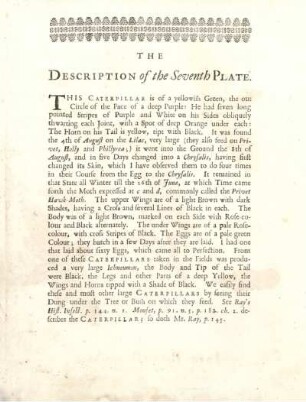 The Description of the Seventh Plate