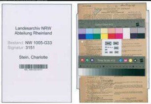Entnazifizierung Charlotte Von Der Stein , geb. 24.04.1899 (Lehrerin)