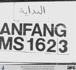 [Fatāwā fiqhīya wa-anẓām]