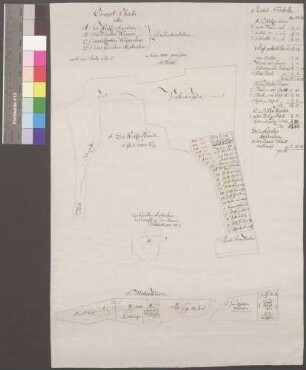 Lenkerstetten (Kr. Crailsheim); "Conzept-Charta über die Wolfsstauden, die Hirtenwiesen, das Rotherwäselein, das Grübenäckerlein zu Lenkerstetten"; H. Roesch; ohne Maßstab; 37 x 53 cm; Papier; Federzeichnung; Bodenverhältnisse durch Farben angegeben.