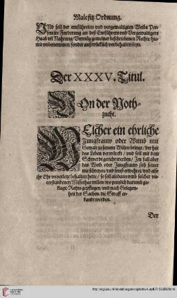 Titul XXXV. Von der Nohtzucht