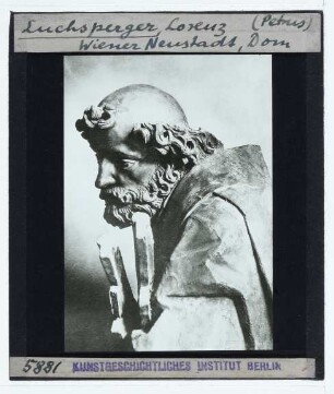 Luchsperger, Apostelzyklus im Dom von Wiener Neustadt : Apostel Petrus