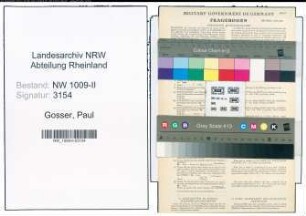 Entnazifizierung Paul Gosser , geb. 01.11.1902 (Pfleger)