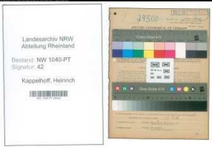 Entnazifizierung Heinrich Kappelhoff , geb. 24.07.1910 (Posthalter)