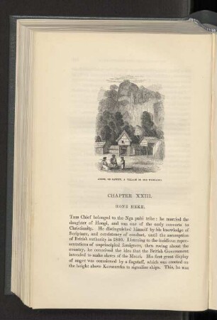 Chapter XXIII. Hone Heke.