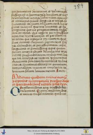 [389r - 390v] Meditatio animae.