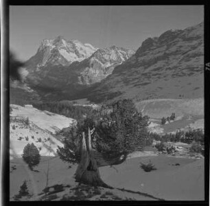 Im Berner Oberland