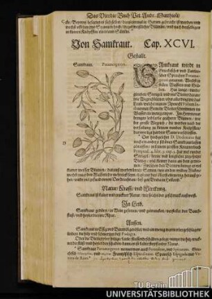 Cap. XCVI. Von Samkraut.