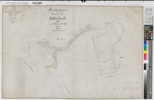 Kallenhardt (Rüthen), Separation Kallenhardt, Bl.9 Brouillonkarte Flur 8