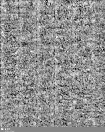 Lilienschild + IESV / LW = S.3/4
