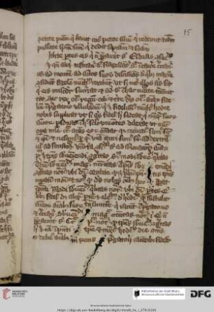 Sifridus de domo Teutonica: Sermo de animabus