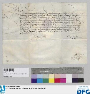 König Maximilian I. stellt der Stadt Nürnberg Quittung aus über 206 fl. rhein. 6 lb. alt und 15 Pfennig Reichssteuer und "Slegschatzung".