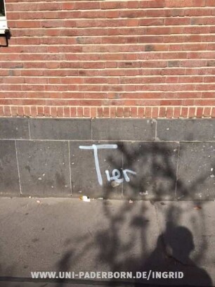 Tier