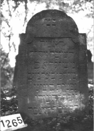 Grabstein 1265 (Index: 99900089) Material: Sandstein Zustand: unten verwittert Maße HxBxT: 95x58x8 cm Beschreibung: Stele mit eingezogenem Rundbogenabschuss, im Bogenfeld gekreuzte Zweige Symbolik: Zweige: Grabstein 1265