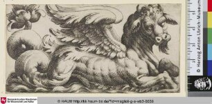 [Geflügeltes Seeungeheuer mit Ochsenkopf nach rechts]