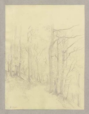 Waldweg