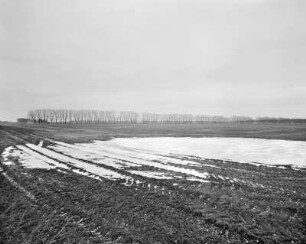 Werder-Podelzig, Oderbruch, Deutschland, 2003