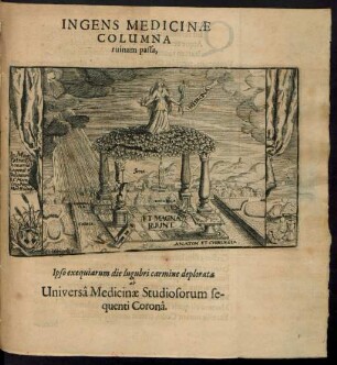 Ingens Medicinae Columna ruinam passa, Ipso exequiarum die lugubri carmine deplorata ab Universa Medicinae Studiosorum sequenti Corona.