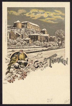 267, Gruss aus Tübingen.