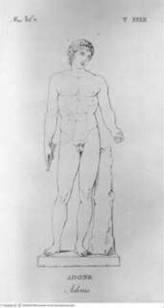 Musée Pie-Clémentin. Vol. II., Tafel XXXII: Adonis