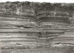 Zeitz-Altenburger Platte. Altpleistozäne Flußkiese der Pleiße mit Sackungserscheinungen. Aufschlußwand windbearbeitet, bei Goldschau nördlich Gößnitz