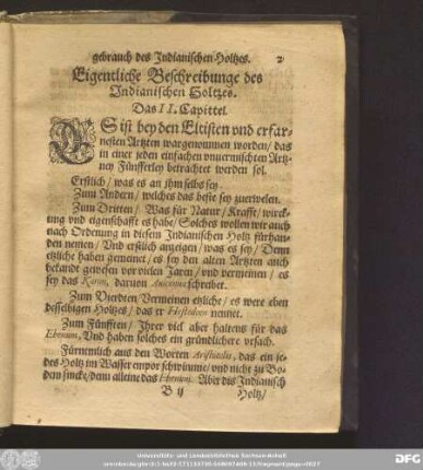 Eigentliche Beschreibung des Indianischen Holtzes. Das II. Capittel.