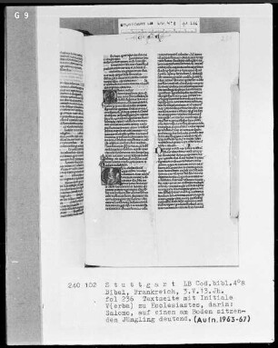 Lateinische Taschenbibel — Initiale V (erba), darin Salomon und ein Jüngling, Folio 236recto