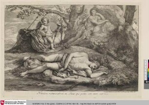Narcisse metamorphosé en fleur qui porte son nom. [Narziss verwandelt sich in Blumen die seinen Namen tragen]